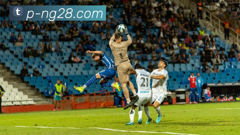 南宫NG28官网平台生态图